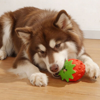 Practical Silicone Dog Chew Toy Strawberry Shape Interactive Food Pet Spill Toy Dog Training Toy for Medium Chewing Dogs