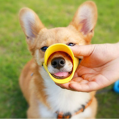 이름